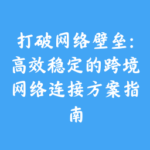 打破网络壁垒：高效稳定的跨境网络连接方案指南